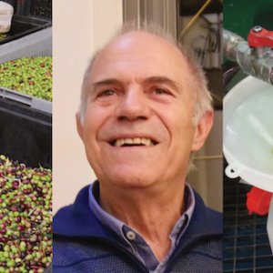 Interview Olio sardo