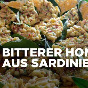 Honig aus Sardinien | Zu Tisch | ARTE Family
