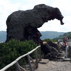 20190902_121658.jpg