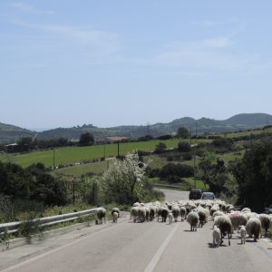 Bildschirmfoto 2026-03-05 um 17.10.52.png