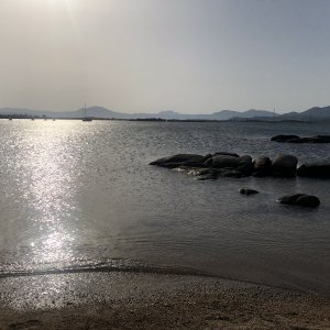 IMG_7191.jpeg