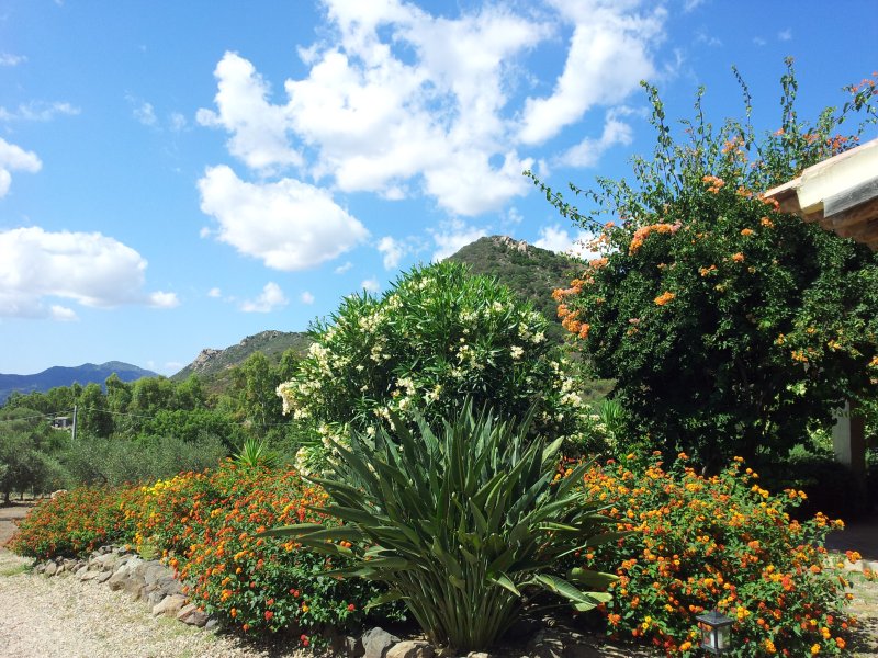 20140626_105118.jpg