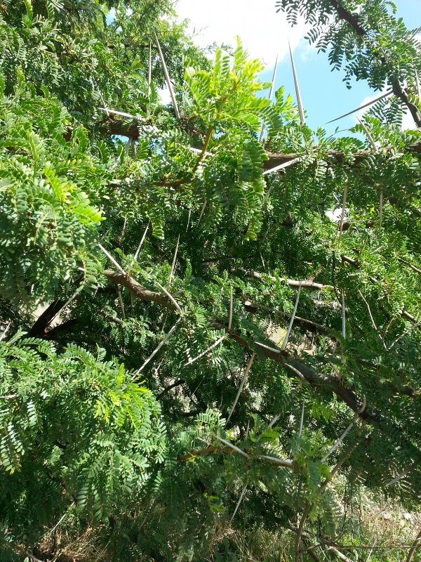 20150920_114059.jpg