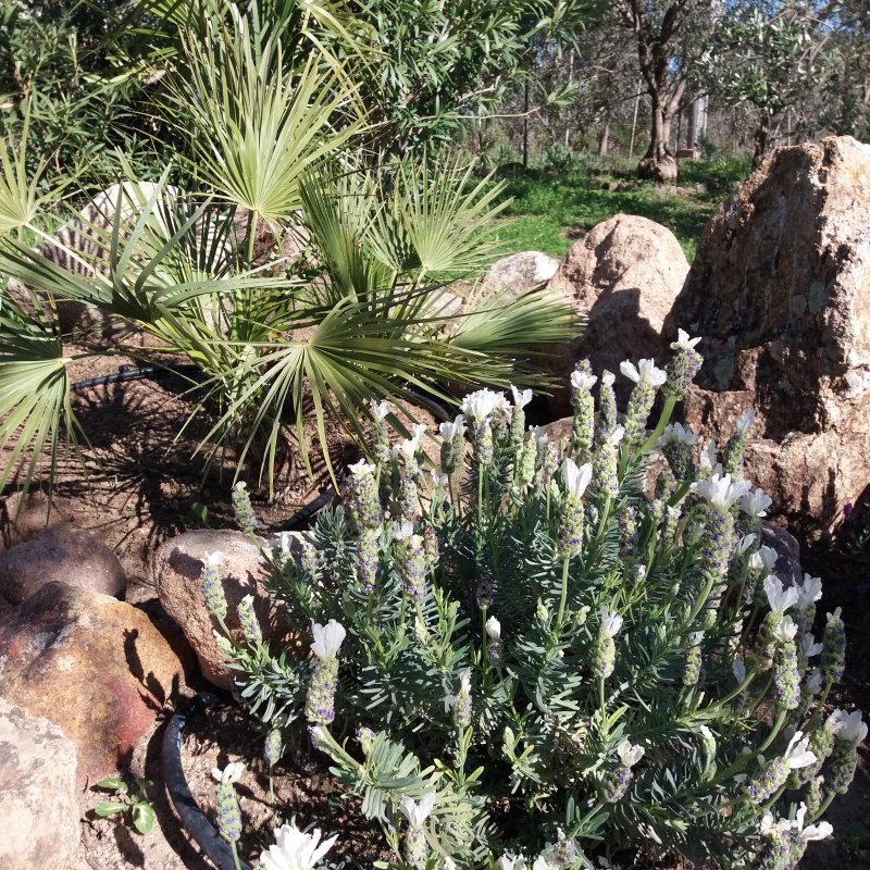 20180401_161550.jpg