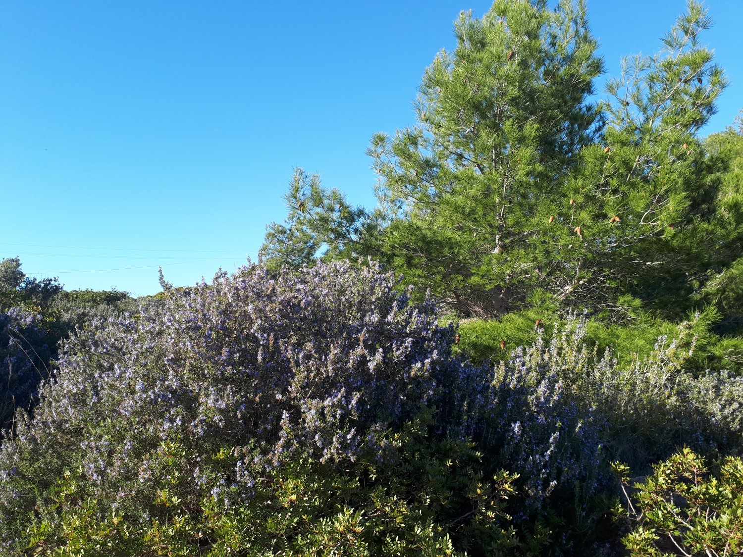 20190103_144828.jpg