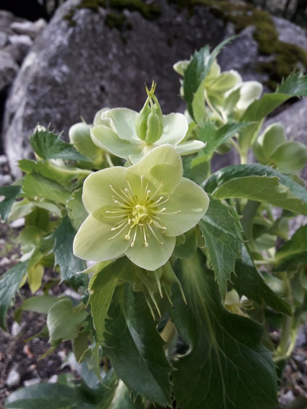 20190203_141416.jpg