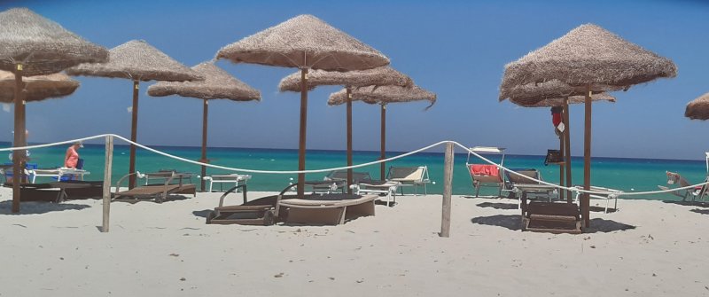 20190701_135828.jpg