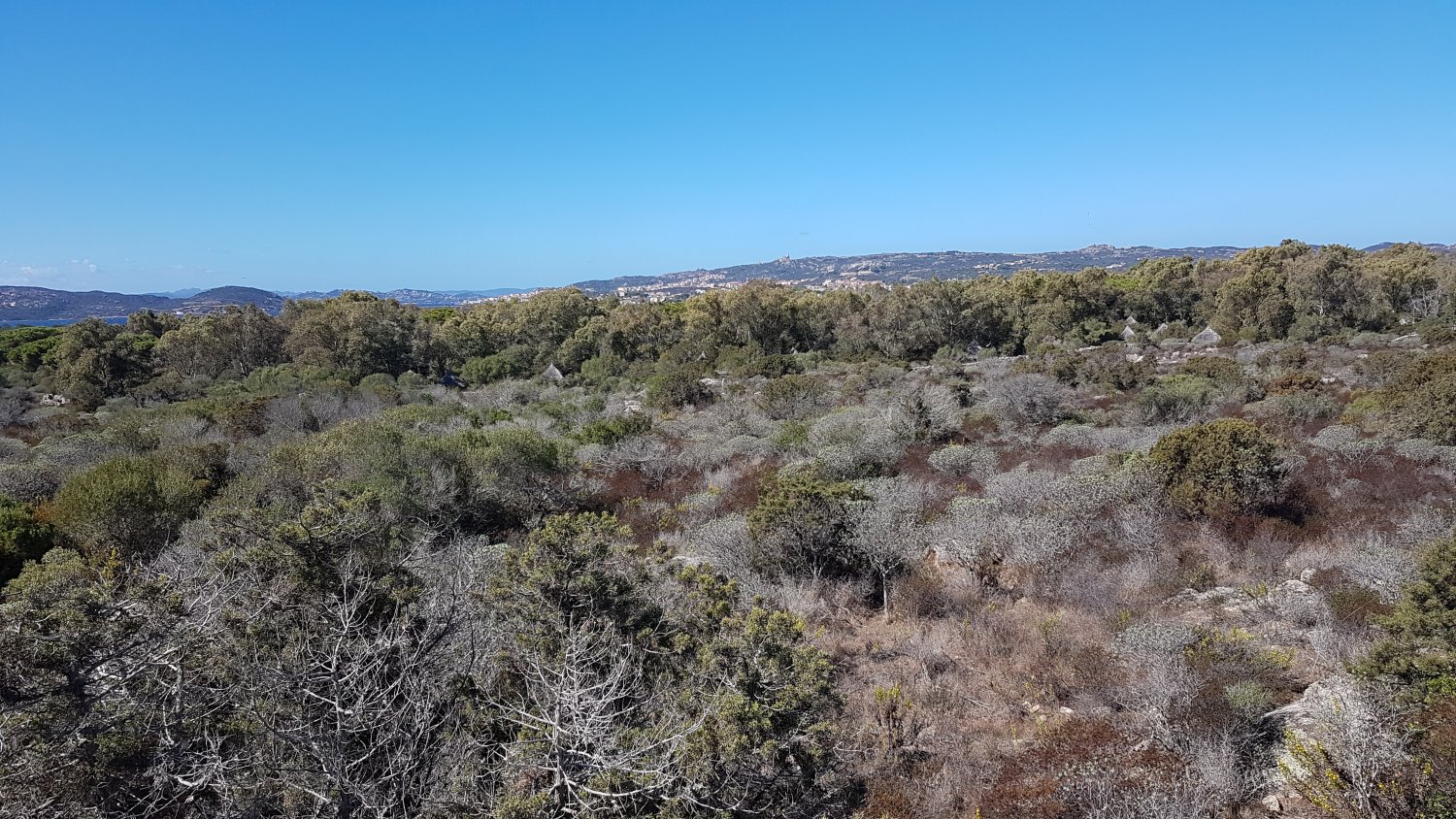 Bilder SamsungG7 2644.jpg