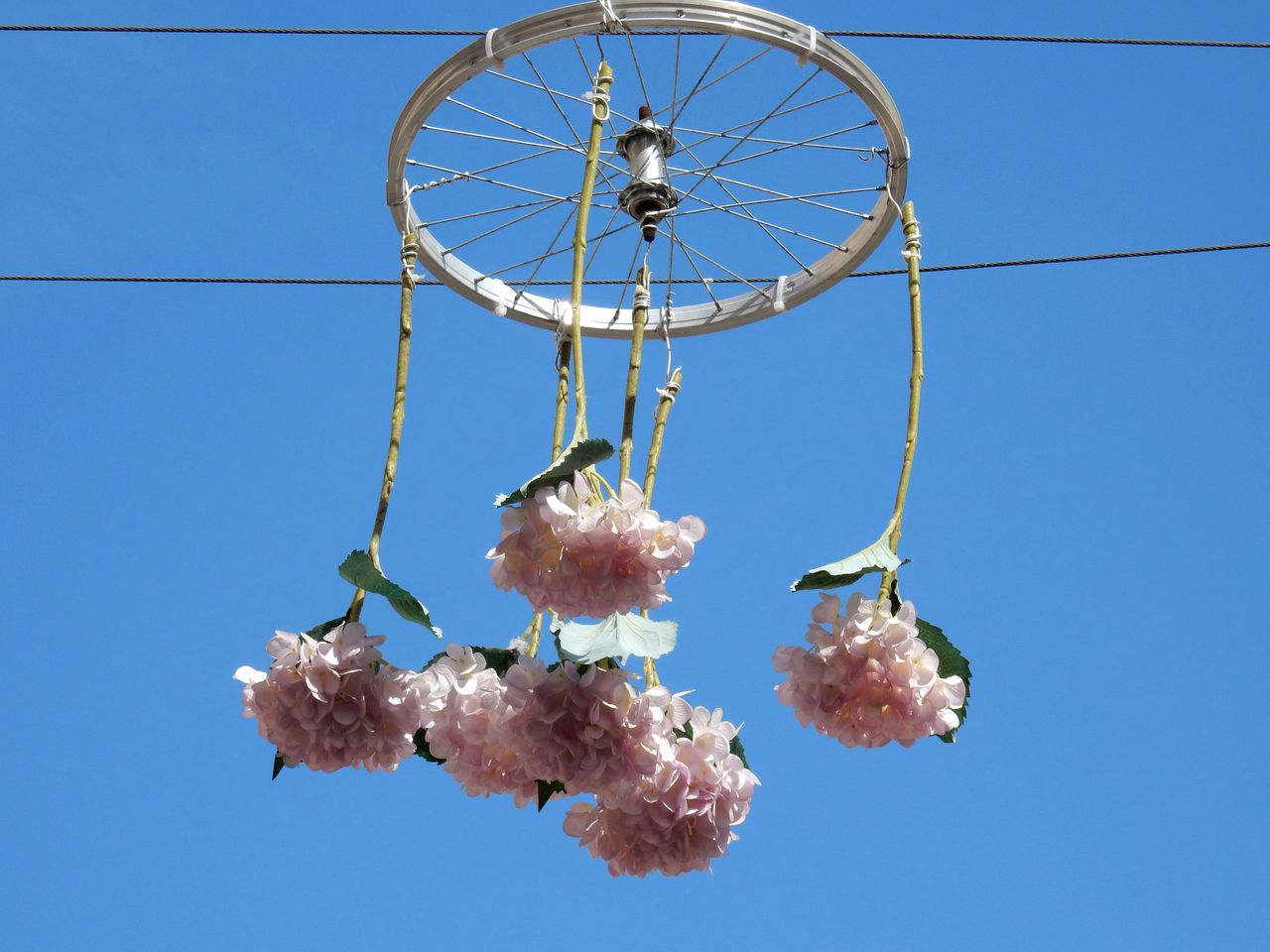 DSCN2078.JPG