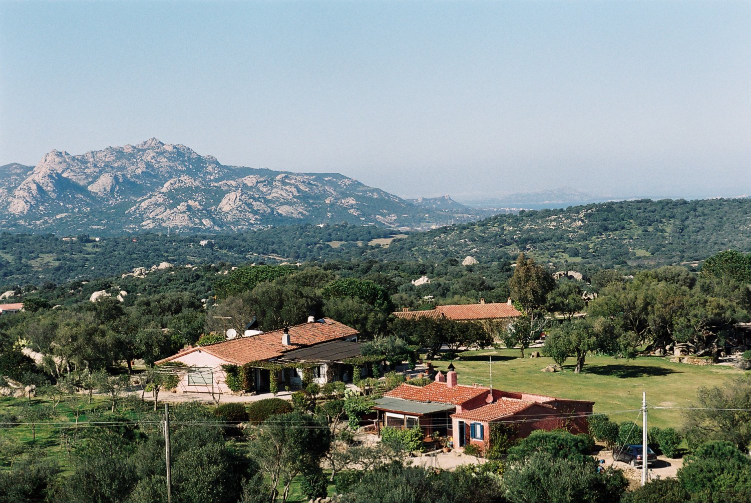 F1000004.JPG