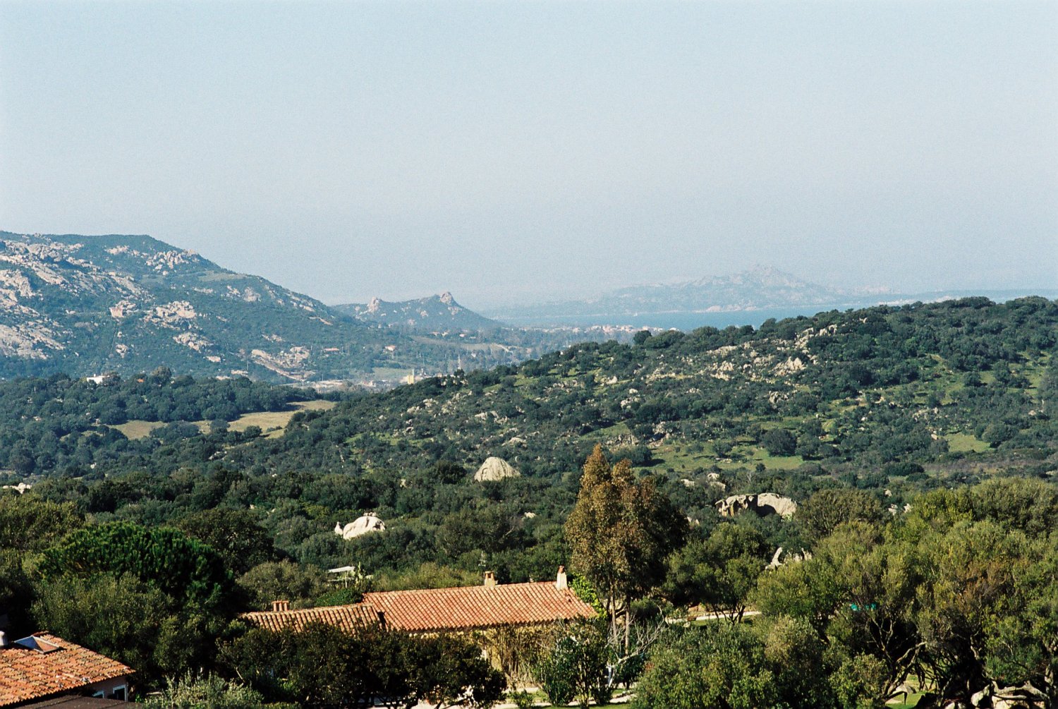 F1000008.JPG