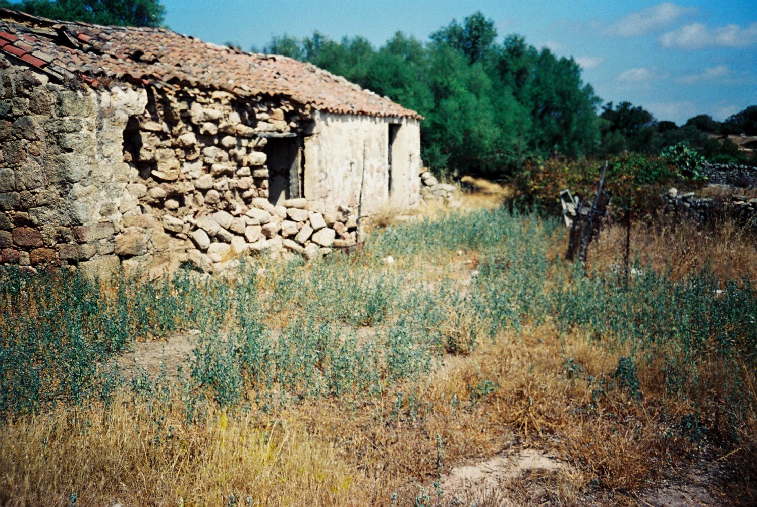 F1000021.JPG