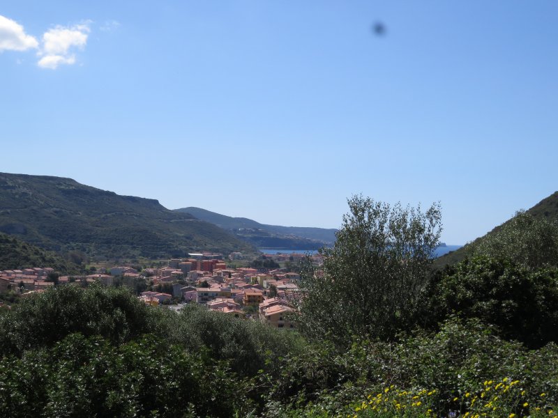 IMG_5495.JPG
