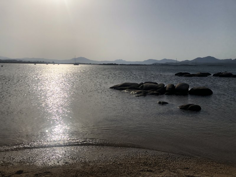 IMG_7191.jpeg