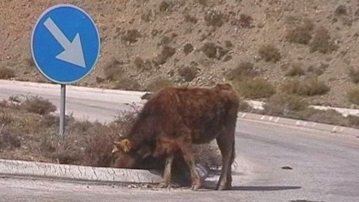 Monti_del_Gennargentu_2.jpg
