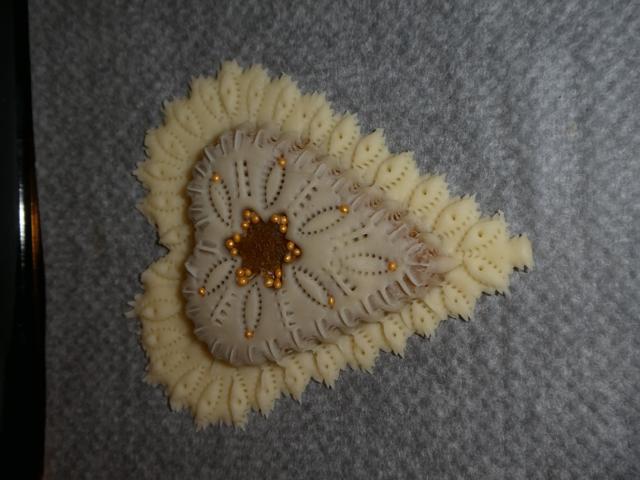 P1000206.jpg