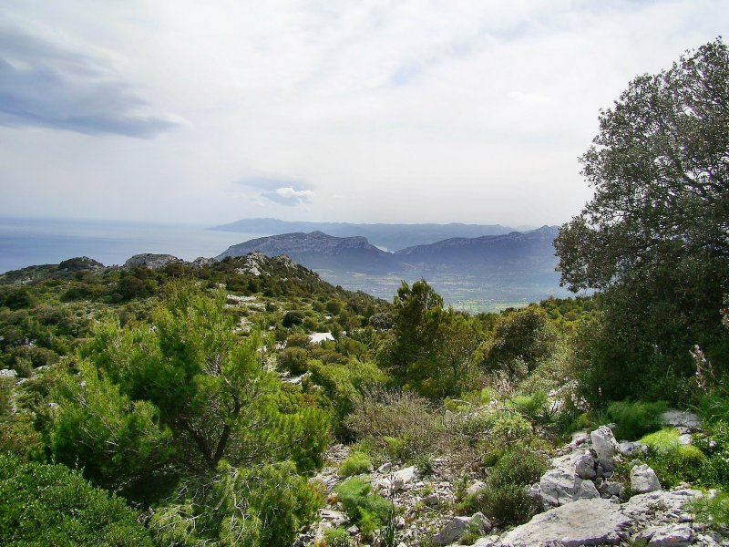 Sardinien   (16).jpg