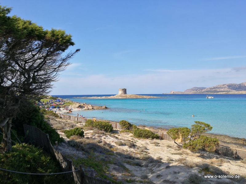 Sardinien 2017, Herbst-206.jpg