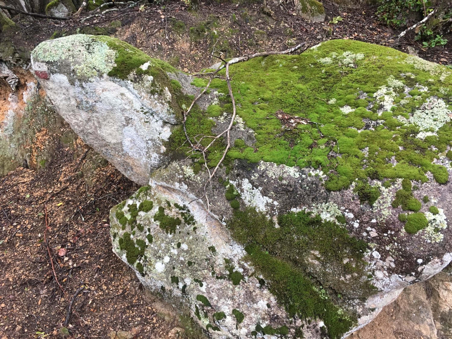 Sulcis Sardinienforum.de Das Forum für Reisen & Leben auf Sardinien