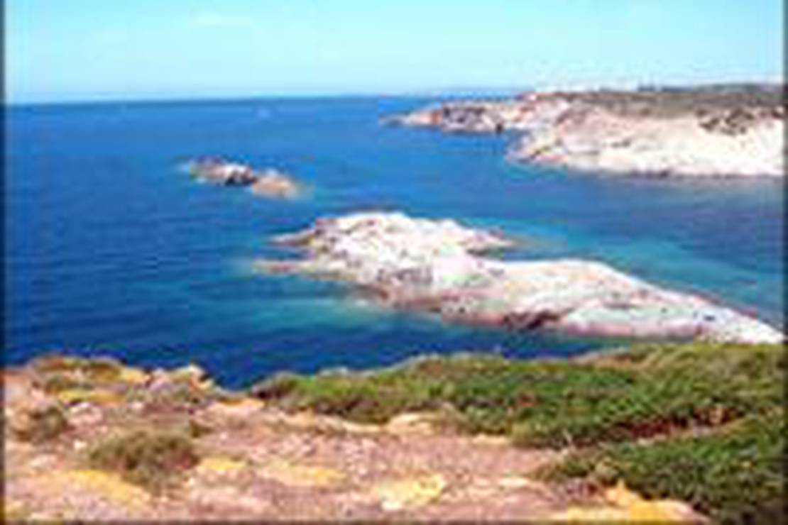 www.camping.info