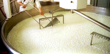www.sardegnaagricoltura.it