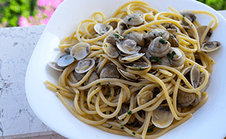 www.vincenzosplate.com