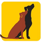 www.niemandshunde.de