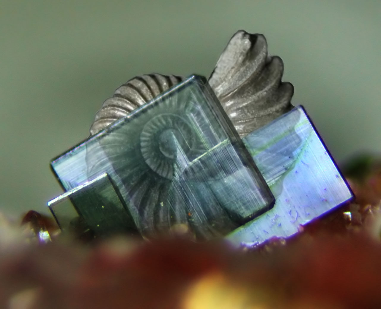 www.mineralienatlas.de